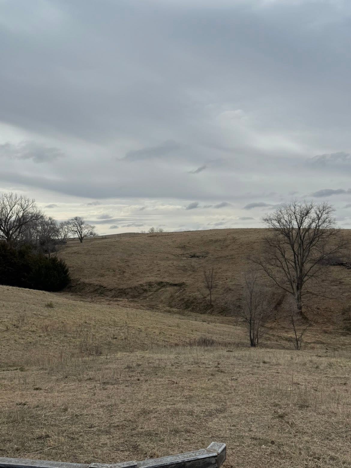 Same hillside open after cedar and brush were cleared